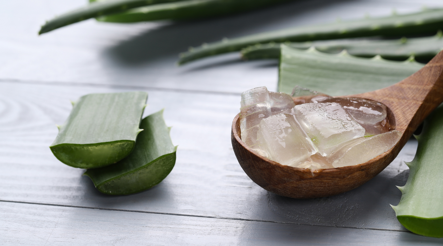 Organic, Safe, and Effective: Curaloe's Promise for Holistic Health and Wellness Aloe Vera Supplements