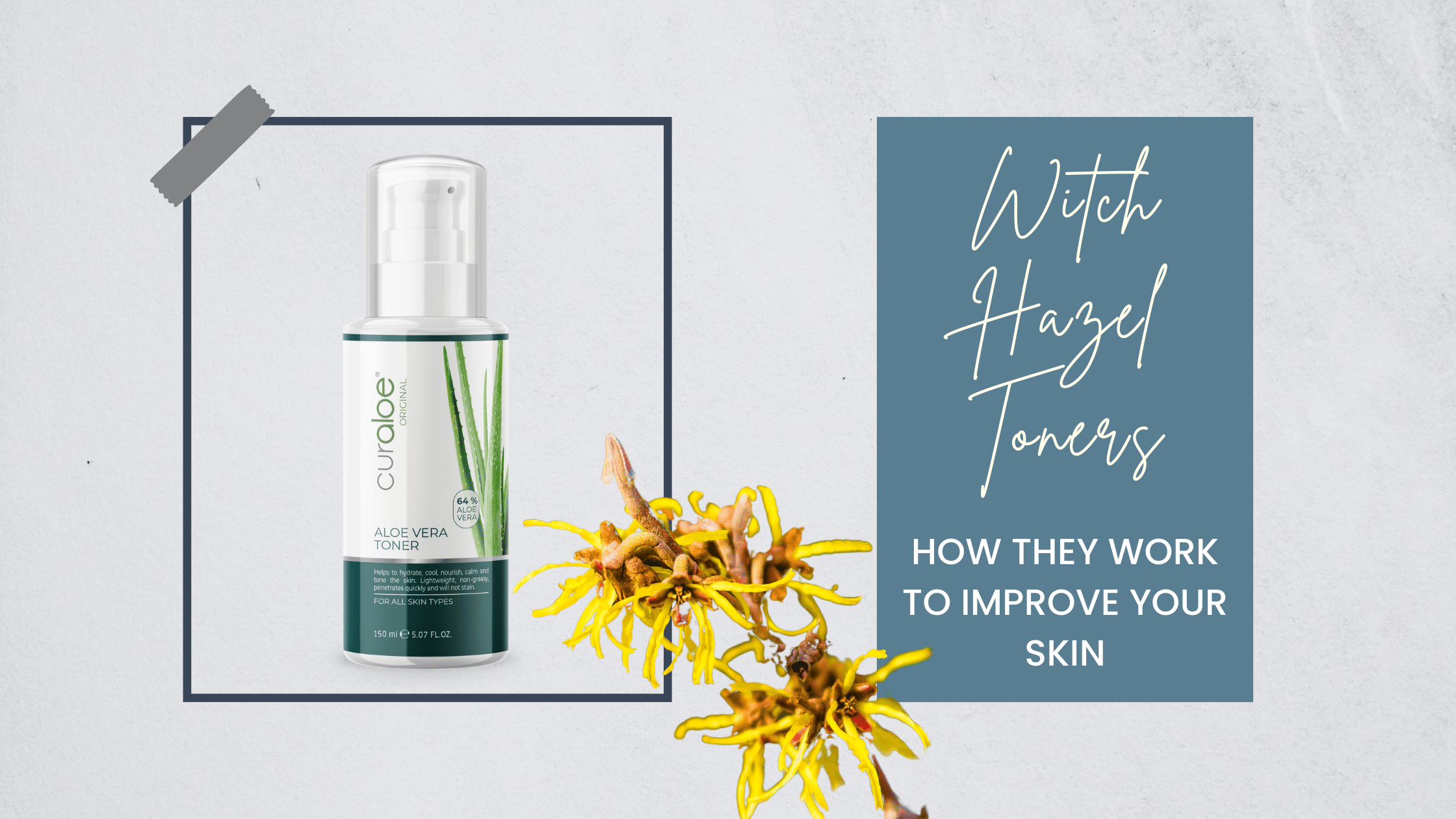 The Science Behind Witch Hazel Toners: How They Work to Improve Your Skin