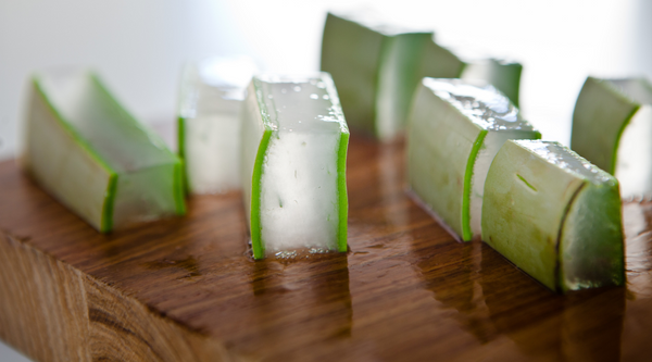 Aloe Vera hacks for home and beauty - Aloe Vera uses you didn’t know about