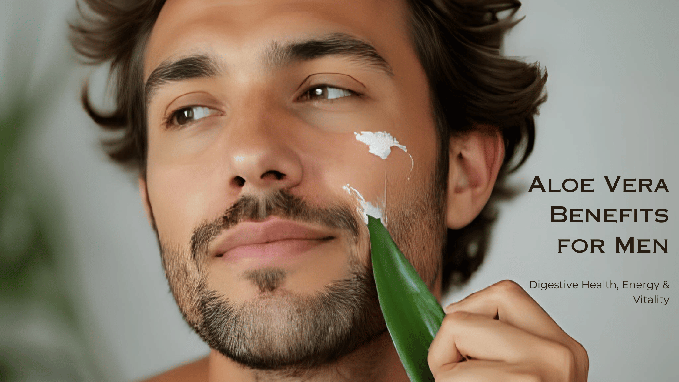 Aloe Juice in Men's Daily Wellness Rituals (A Compliance-Safe Guide)