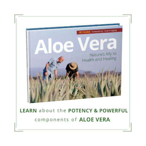 Aloe Vera: Nature's Ally to Health and Healing by Piet Viljoen